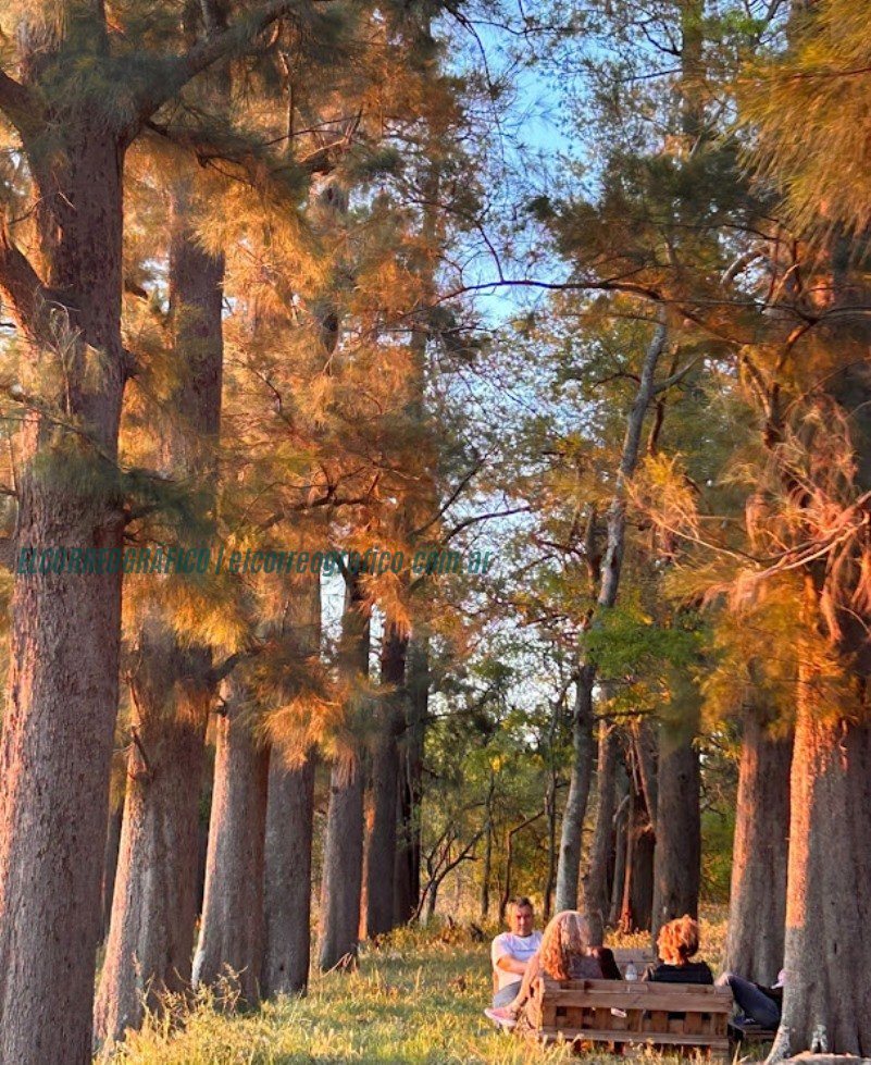 Bosque, Campo y Laguna de las Polvaredas: Una alternativa verde, innovadora y económica en el campo laguna polvaredas Bosque, Campo y Laguna de las Polvaredas, Una alternativa verde, innovadora y económica en el campo07