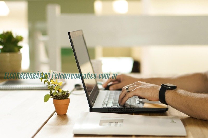online, connection, laptop, plant, workstation, nature, pot, work, table, workspace, technology, online, online, online, online, online Analiza la reputación online de las marcas antes de comprar en línea