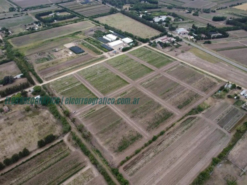 Berisso alerta sobre venta irregular de tierras en Los Talas