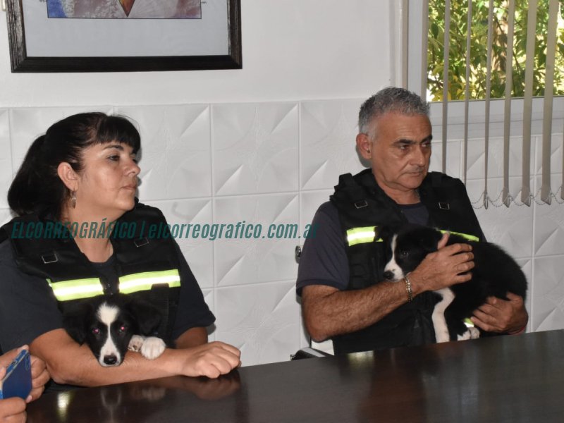 Berisso firma convenio con K9 Grupo de Tareas para capacitación en búsqueda de personas Berisso firma convenio con K9 Grupo de Tareas para capacitación en búsqueda de personas 4