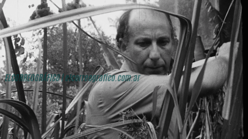 La conexión entre Haroldo Conti y la Isla Paulino en "Silencio en la ribera" La conexión entre Haroldo Conti y la Isla Paulino en Silencio en la ribera 1