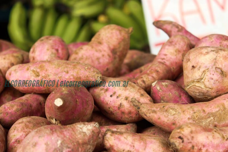 Meridiano V se prepara para la 3° Feria Regional de la Batata 2