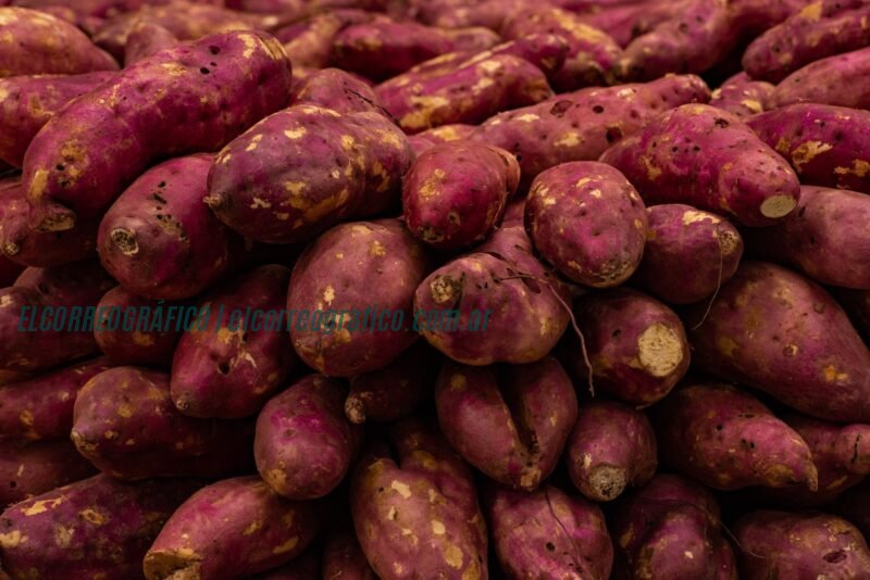Meridiano V se prepara para la 3° Feria Regional de la Batata 3