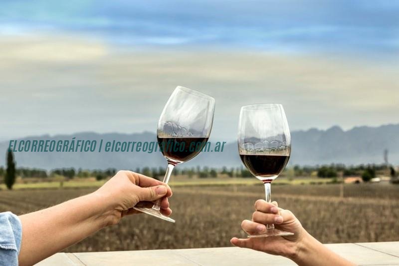 Ruta del vino en Mendoza: cómo armar tu circuito Ruta del vino en Mendoza, cómo armar tu circuito 2
