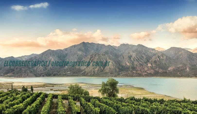 Ruta del vino en Mendoza: cómo armar tu circuito Ruta del vino en Mendoza, cómo armar tu circuito 3