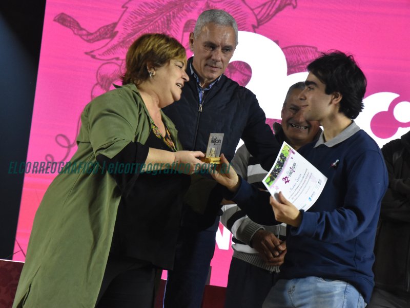 22ª Fiesta Provincial del Vino de la Costa, Berisso celebró su tradición con récord de participación 08