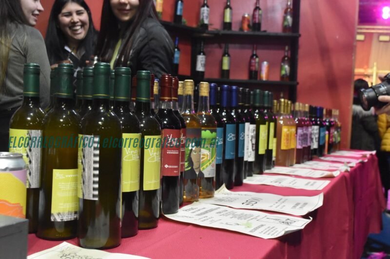 Berisso celebra la 22° Fiesta Provincial del Vino de la Costa con actividades culturales 6