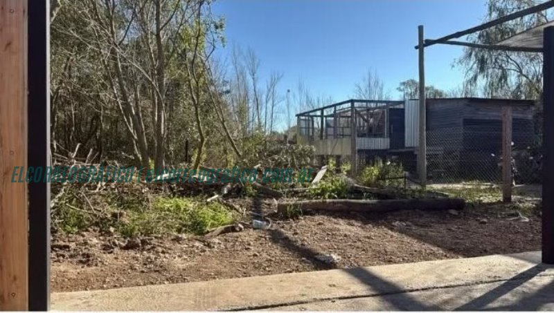 Incumplimiento Ambiental en Isla Santiago, ONG denuncia al Municipio de Ensenada 3