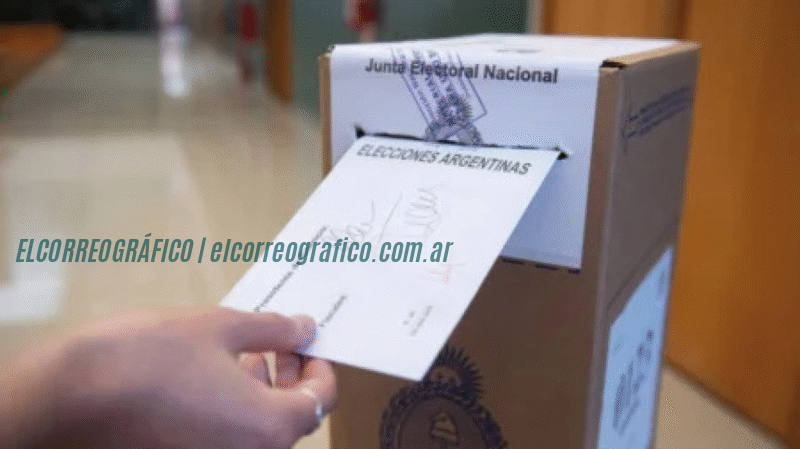 eleccciones, voto urna electoral Junta Electoral avaló las candidaturas testimoniales pese a críticas éticas