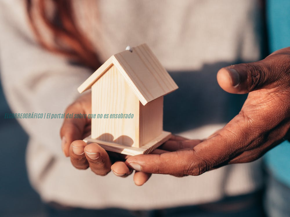 Vivienda o instrumentos financieros, qué elegir Vivienda o instrumentos financieros, qué elegir 1
