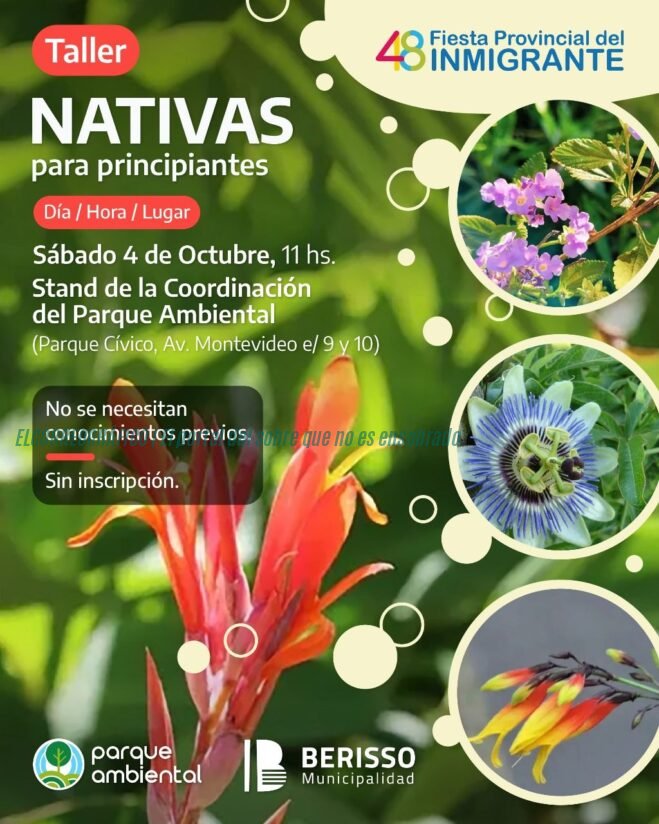 Cagliardi incumplidor judicial y controversia por el uso indebido de imágenes en campaña ambiental 13