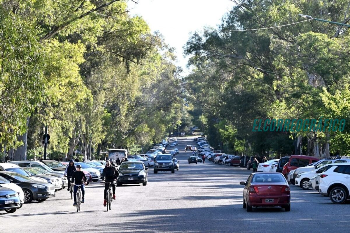 Polémica total en La Plata: Alak enrejará el histórico Paseo del Bosque y lo cerrará de noche Polémica total en La Plata, Alak enrejará el histórico Paseo del Bosque y lo cerrará de noche 9