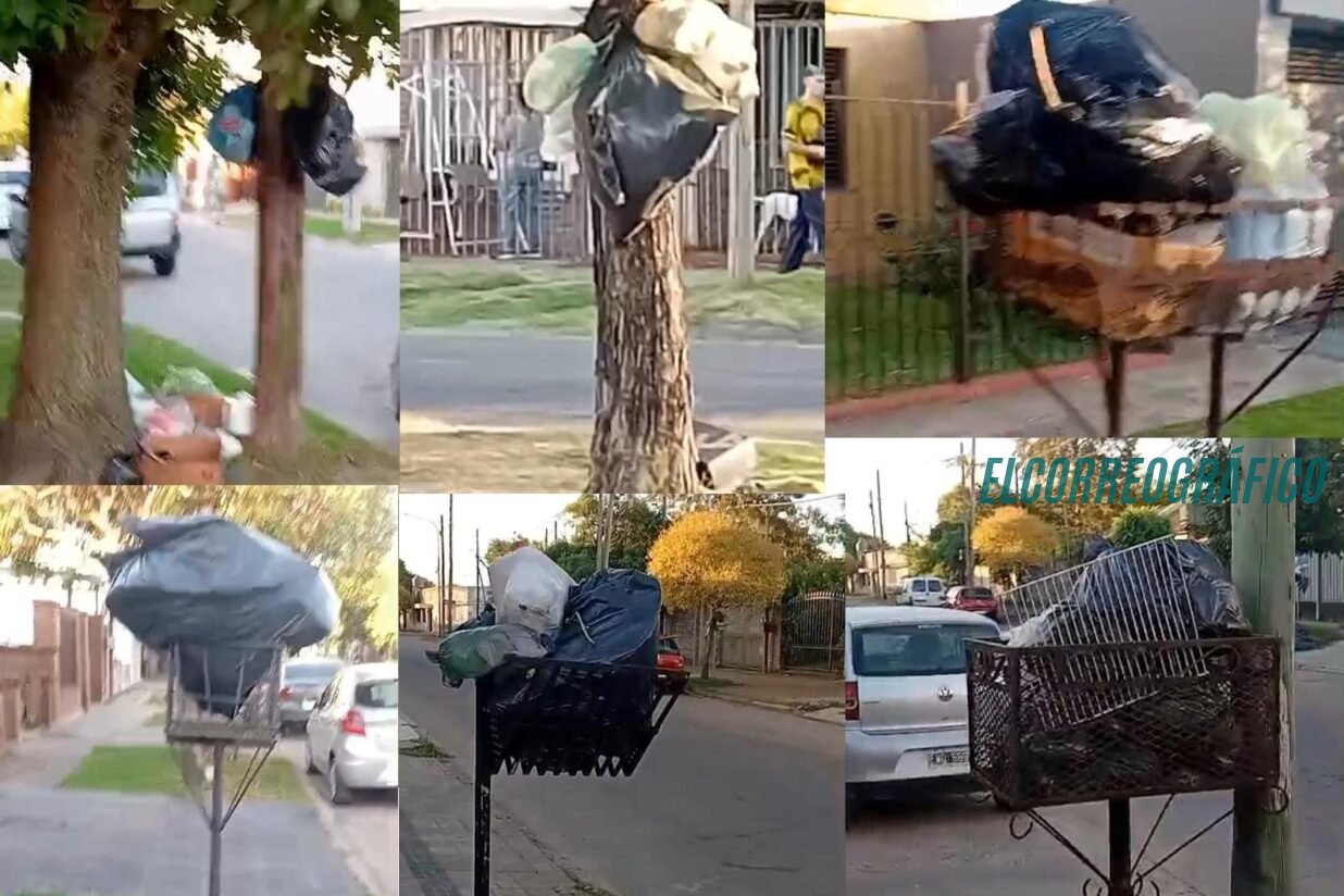 Alarmante, Berisso se convierte en capital nacional de la basura