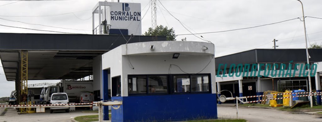 Alarmante, Berisso se convierte en capital nacional de la basura2