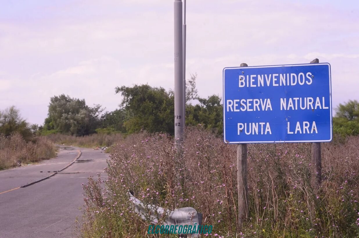 Camino Negro, La ruta maldita donde la muerte y el abandono dominan 04