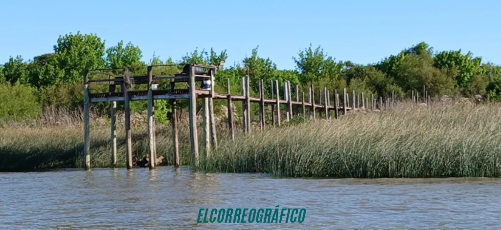 Isla Santiago Ensenada: alarmante desmonte y quemas arrasan el monte ribereño Isla Santiago, la gestión de Mario Secco destruye un paisaje protegido e ignora a la justicia 02