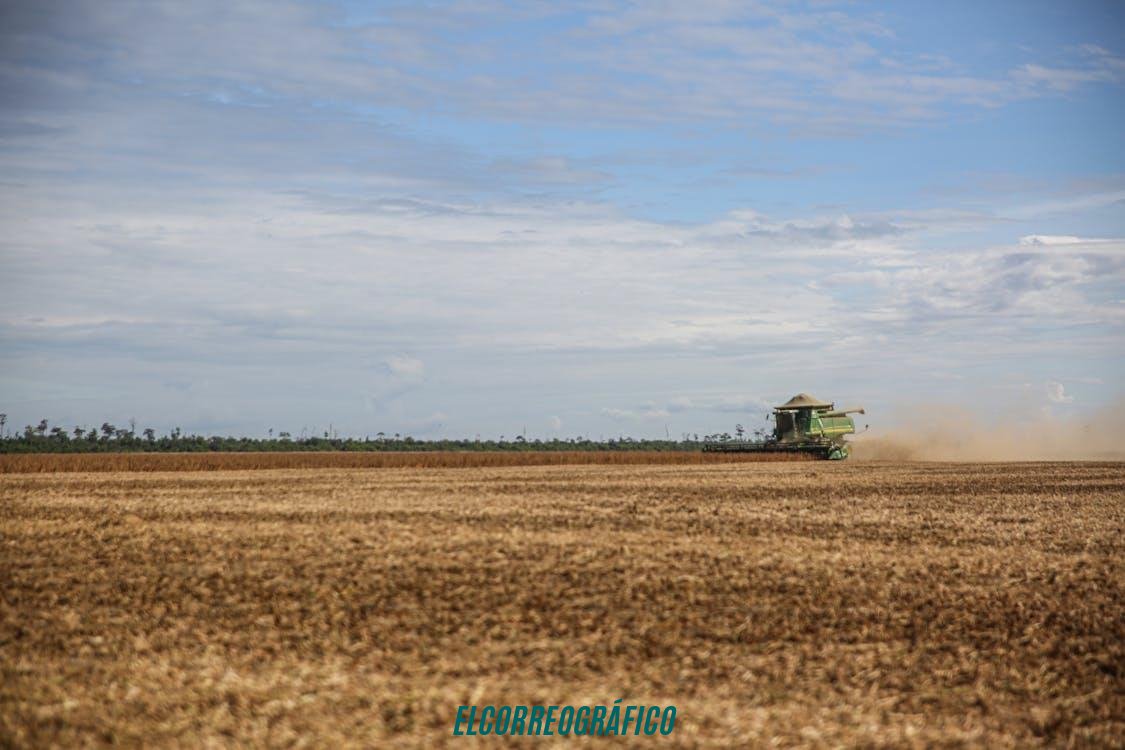 Qué acorta la vida útil de los equipos en el campo