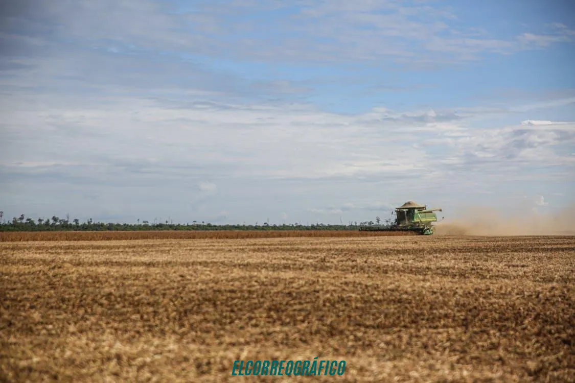 Qué acorta la vida útil de los equipos en el campo Qué acorta la vida útil de los equipos en el campo