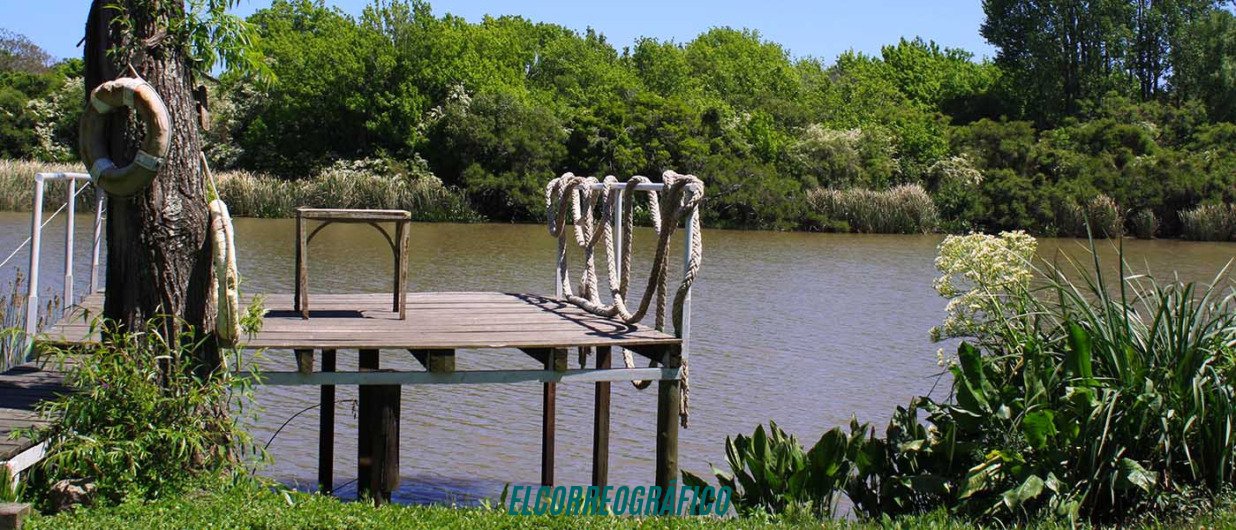 Secco y Cagliardi desacatan a la Justicia y consolidan la destrucción del Paisaje Protegido del monte ribereño 1
