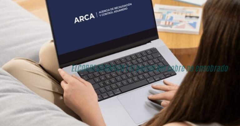 Persona revisando en una computadora la página de ARCA para hacer la recategorización del Monotributo agosto 2026, con planilla de facturación sobre el escritorio. Monotributo agosto 2026, qué cambia y por qué golpea a Berisso 6