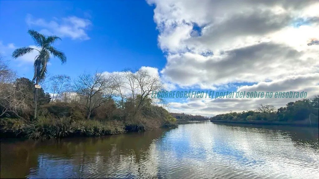 Reserva natural en Berisso: crean un innovador santuario de 100 hectáreas en el Delta del Río Santiago Reserva natural en Berisso. crean un santuario de 100 hectáreas en el Delta del Río Santiago 05