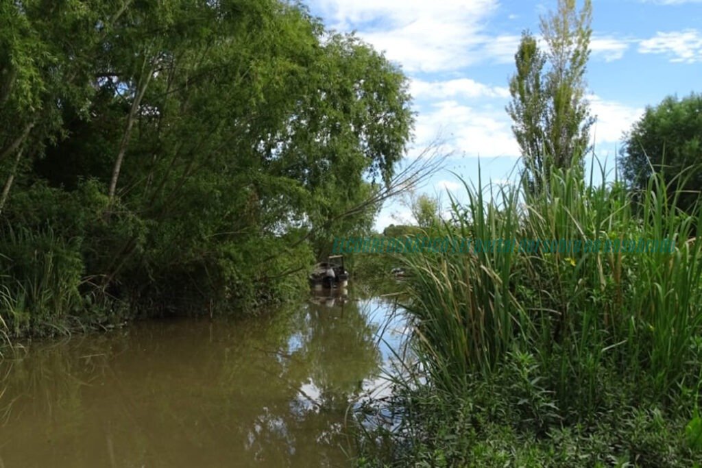 Reserva natural en Berisso: crean un innovador santuario de 100 hectáreas en el Delta del Río Santiago Reserva natural en Berisso. crean un santuario de 100 hectáreas en el Delta del Río Santiago 11