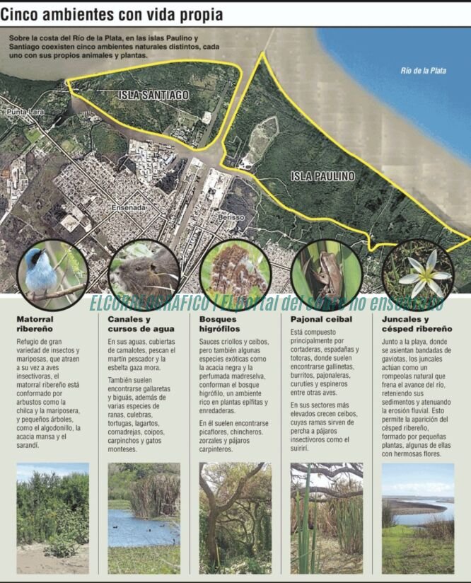 Reserva natural en Berisso: crean un innovador santuario de 100 hectáreas en el Delta del Río Santiago Reserva natural en Berisso. crean un santuario de 100 hectáreas en el Delta del Río Santiago 18fotografía aérea de la reserva natural en el Delta de Berisso, con canales, monte ribereño y embarcaciones de productores locales. reserva natural Delta del Río Santiago Berisso