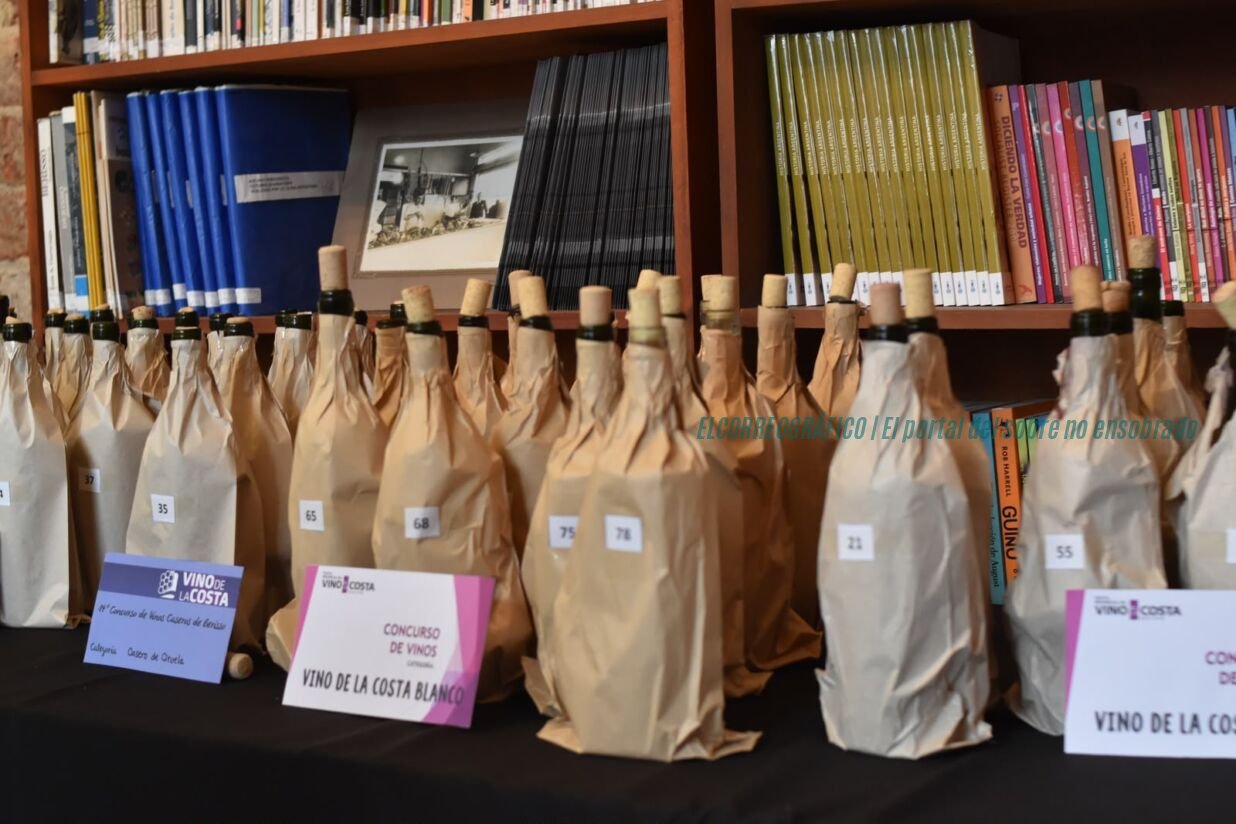 Vino de la Costa, la 23° Fiesta de Berisso cerró con récord de producción pese a la crisis nacional 09