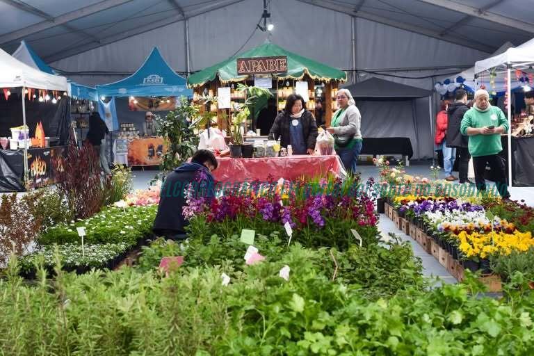 Vino de la Costa: la 23° Fiesta de Berisso cerró con récord notable de producción pese a la crisis nacional Vino de la Costa, la 23° Fiesta de Berisso cerró con récord de producción pese a la crisis nacional 21