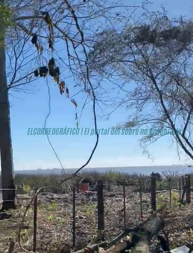 Isla Santiago Ensenada: alarmante desmonte y quemas arrasan el monte ribereño Isla Santiago Ensenada, alarmante desmonte y quemas arrasan el monte ribereño 02