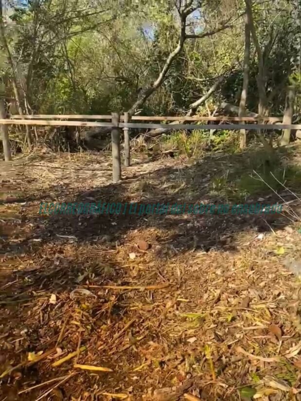 Isla Santiago Ensenada: alarmante desmonte y quemas arrasan el monte ribereño Isla Santiago Ensenada, alarmante desmonte y quemas arrasan el monte ribereño 04