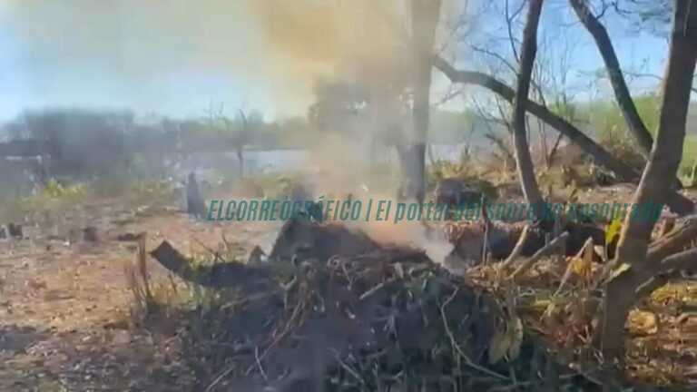 Isla Santiago Ensenada, alarmante desmonte y quemas arrasan el monte ribereño 05