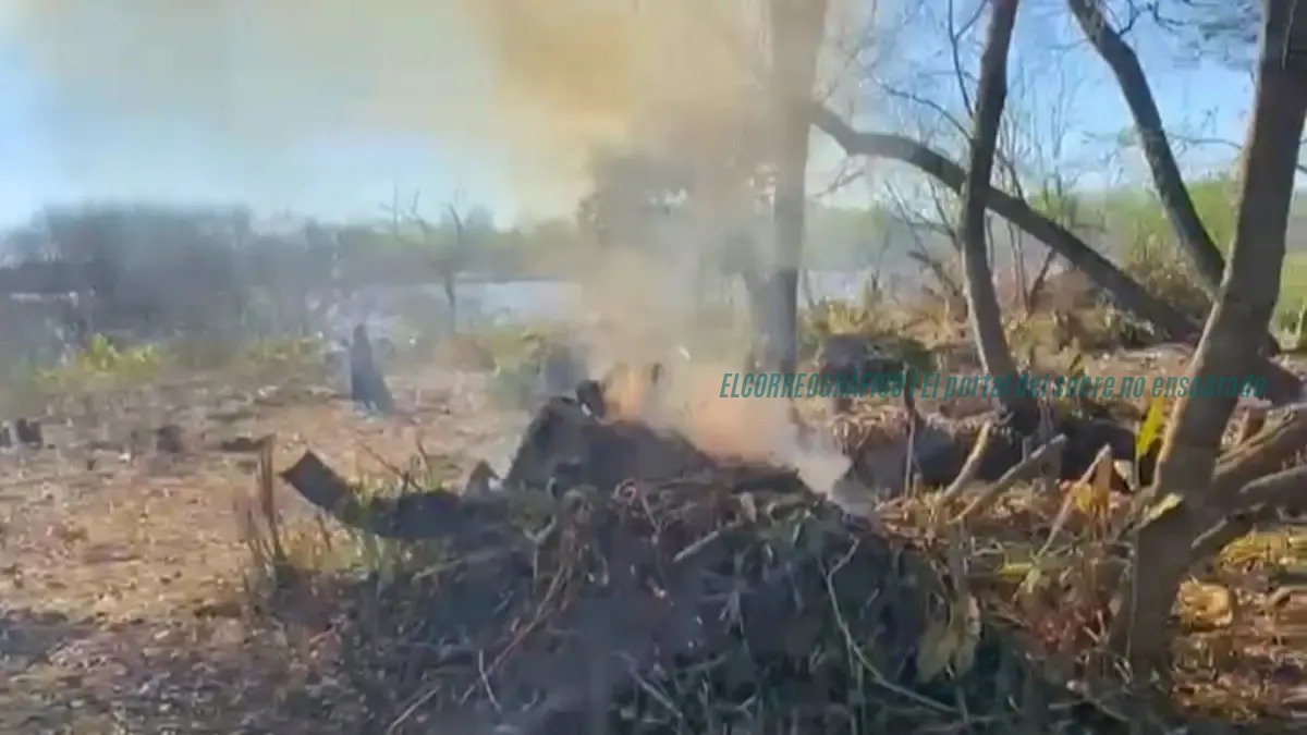 Isla Santiago Ensenada, alarmante desmonte y quemas arrasan el monte ribereño 05