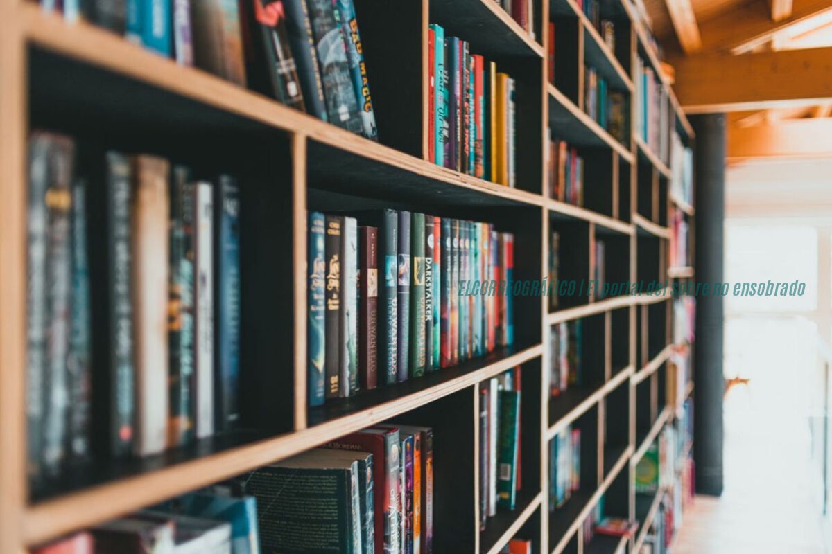 Librerías Platenses: descubre la sexta Noche con unas 30 sedes el 6 de noviembre Librerías Platenses, descubre la sexta Noche con unas 30 sedes el 6 de noviembre
