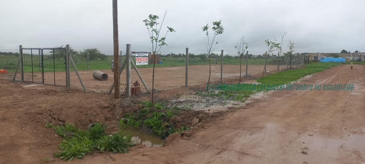 Loteos clandestinos en Berisso, 6 lotes en la calle 100 una zona inundable de Los Talas 2 foto de la calle de tierra de la calle 100 con relleno reciente, alambrados y los caños de desagüe a distinta altura.
