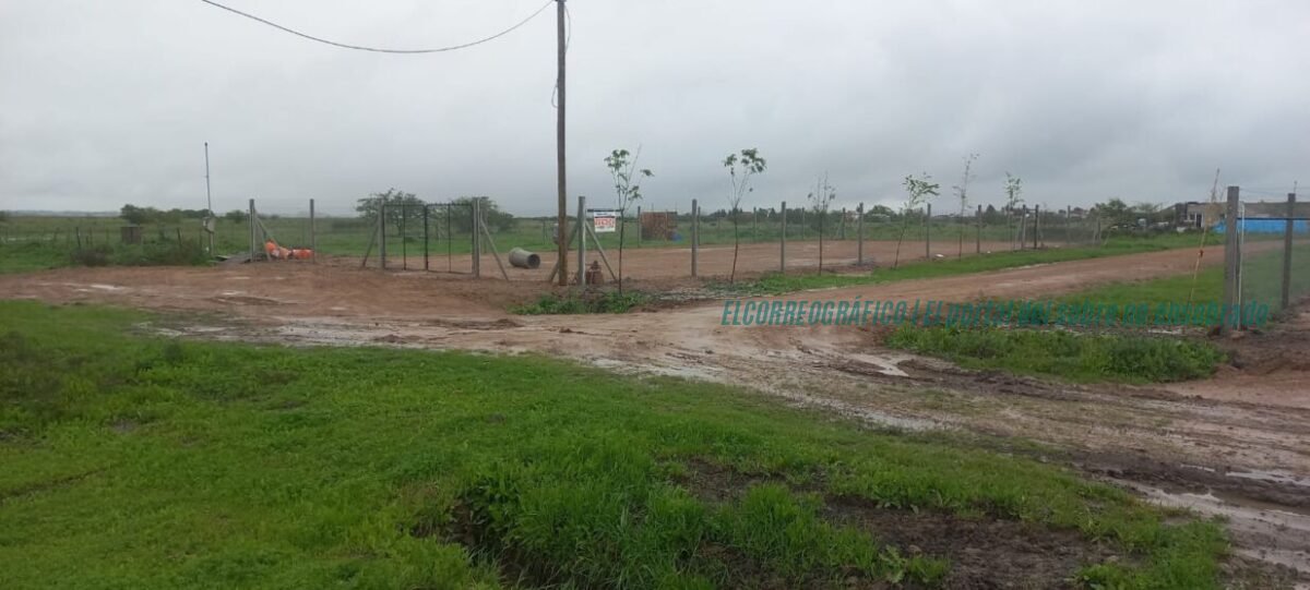Loteos clandestinos en Berisso: 6 lotes increíbles en calle 100 en zona inundable de Los Talas Loteos clandestinos en Berisso, 6 lotes en la calle 100 una zona inundable de Los Talas 3