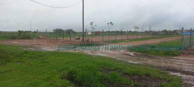 Loteos clandestinos en Berisso, 6 lotes en la calle 100 una zona inundable de Los Talas 3