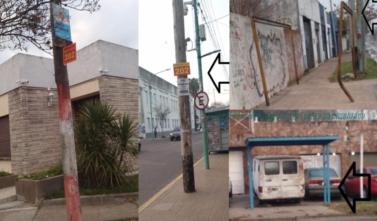 Paradas de colectivo en Berisso, Pablo Swar relevó el impacto de 137 refugios faltantes 18